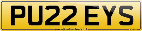 PU22 EYS
