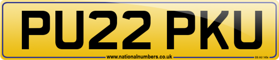 PU22 PKU