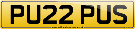 PU22 PUS