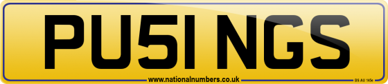 PU51 NGS