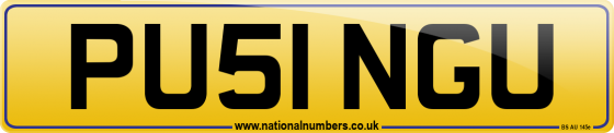 PU51 NGU