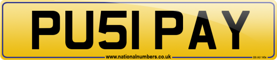 PU51 PAY