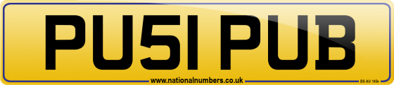 PU51 PUB