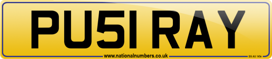 PU51 RAY