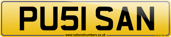 PU51 SAN