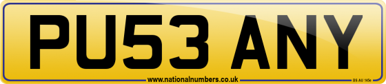 PU53 ANY