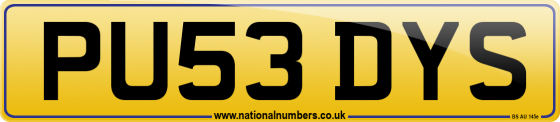 PU53 DYS