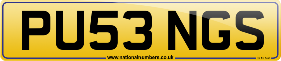 PU53 NGS