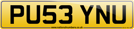 PU53 YNU