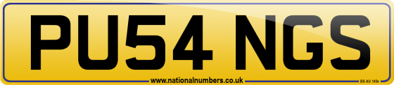 PU54 NGS