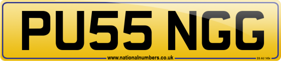 PU55 NGG