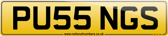 PU55 NGS
