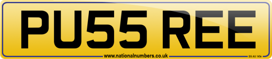 PU55 REE