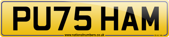PU75 HAM