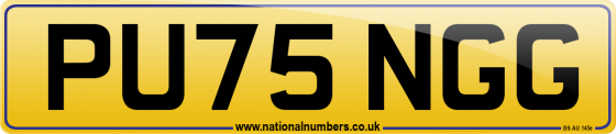 PU75 NGG