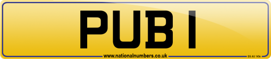 PUB 1
