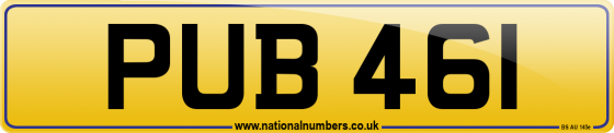 PUB 461