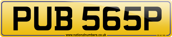 PUB 565P