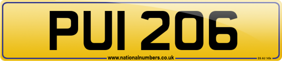 PUI 206
