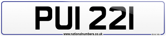 PUI 221