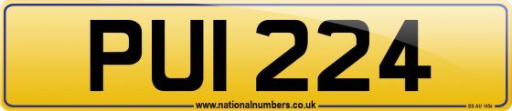 PUI 224