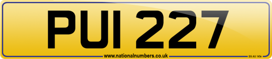 PUI 227