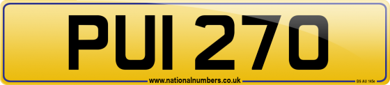 PUI 270
