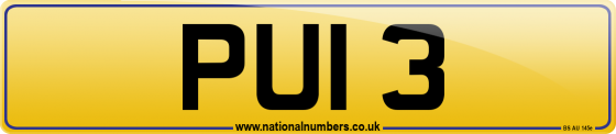 PUI 3