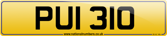 PUI 310