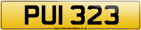 PUI 323