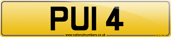 PUI 4