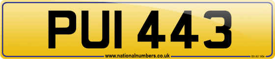 PUI 443
