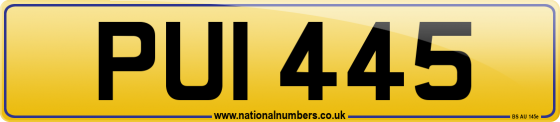 PUI 445