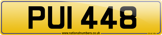 PUI 448