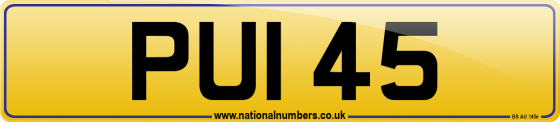 PUI 45