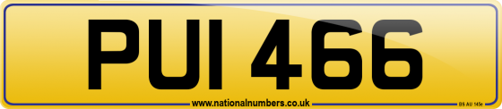 PUI 466