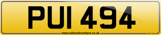 PUI 494