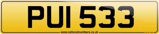 PUI 533