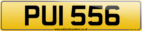 PUI 556