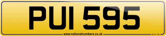 PUI 595