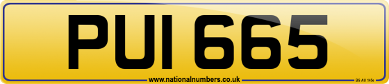 PUI 665