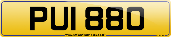 PUI 880