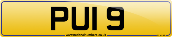PUI 9