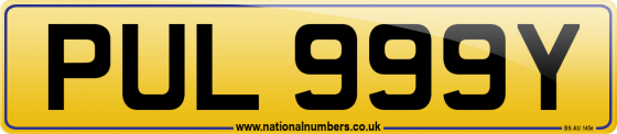 PUL 999Y