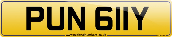 PUN 611Y