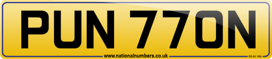 PUN 770N