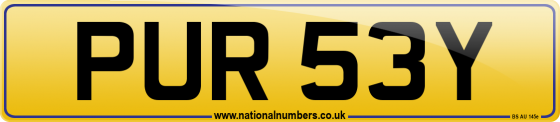 PUR 53Y