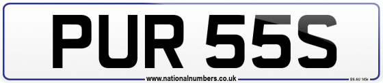 PUR 55S