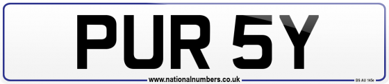 PUR 5Y