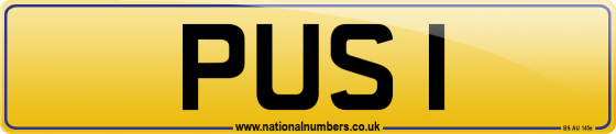 PUS 1